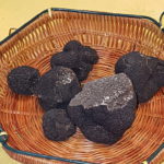 Marché aux truffes à Sarlat, Black is delicious !