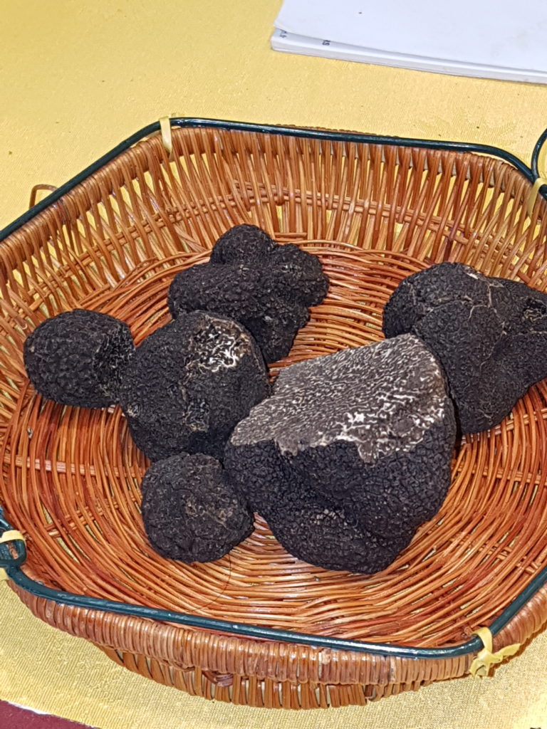 You are currently viewing Marché aux truffes à Sarlat, Black is delicious !