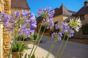 chambre hotes de charme sarlat