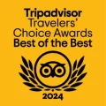 TC_BOTB_mustard_BF Logo_L_2024_CMYK-273×301-96718e7 TC_BOTB_mustard_BF Logo_L_2024_CMYK-273x301-96718e7